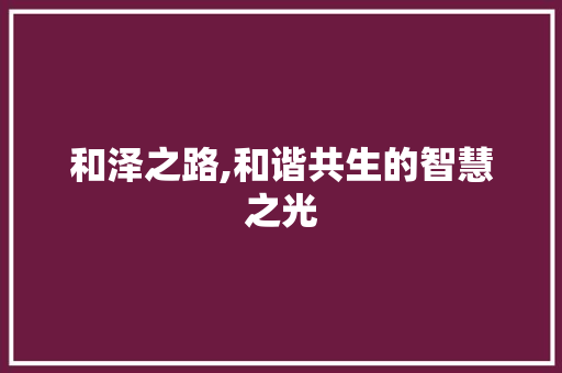 和泽之路,和谐共生的智慧之光