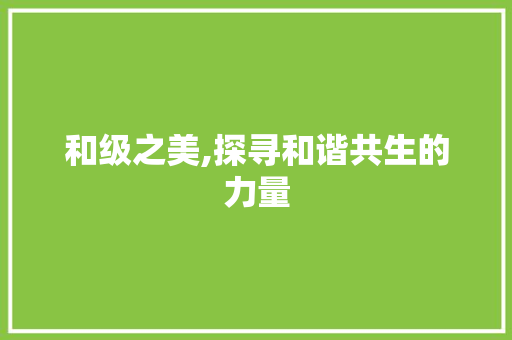 和级之美,探寻和谐共生的力量