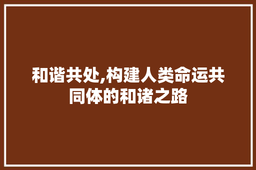 和谐共处,构建人类命运共同体的和诸之路