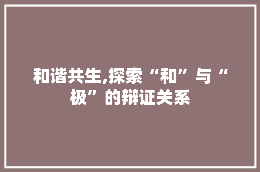 和谐共生,探索“和”与“极”的辩证关系