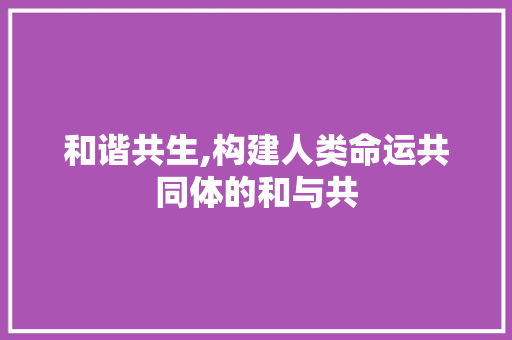 和谐共生,构建人类命运共同体的和与共