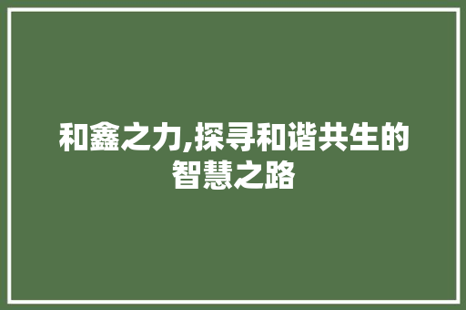 和鑫之力,探寻和谐共生的智慧之路 工作总结