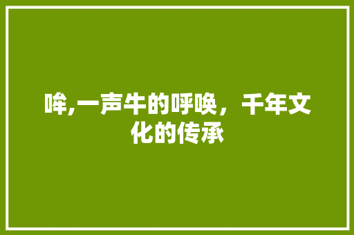 哞,一声牛的呼唤，千年文化的传承