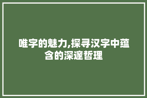 唯字的魅力,探寻汉字中蕴含的深邃哲理