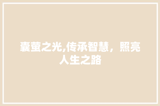囊萤之光,传承智慧，照亮人生之路