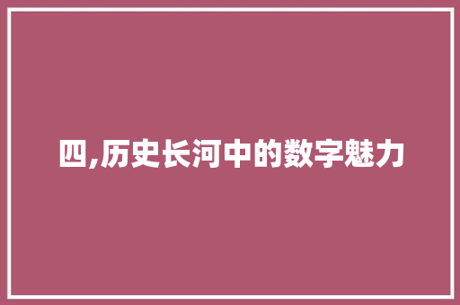四,历史长河中的数字魅力
