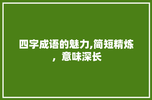 四字成语的魅力,简短精炼，意味深长