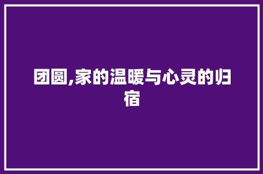 团圆,家的温暖与心灵的归宿 社交媒体