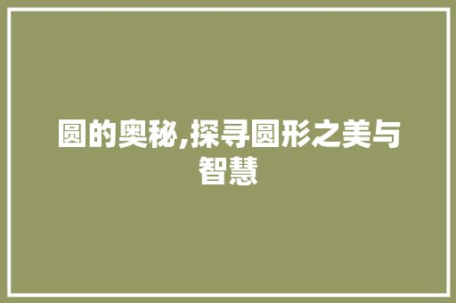 圆的奥秘,探寻圆形之美与智慧 职场写作