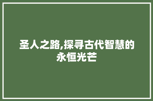 圣人之路,探寻古代智慧的永恒光芒