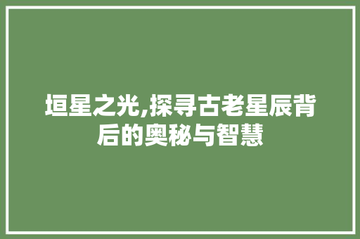 垣星之光,探寻古老星辰背后的奥秘与智慧