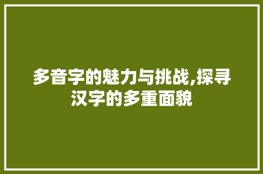 多音字的魅力与挑战,探寻汉字的多重面貌