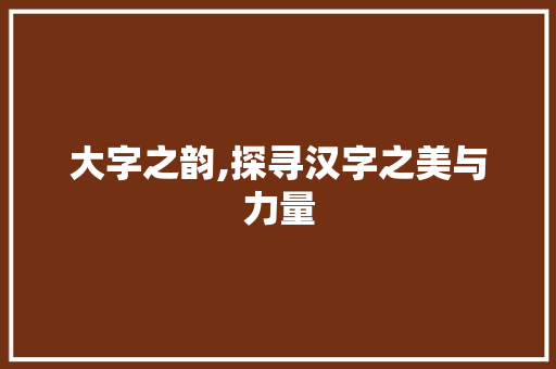 大字之韵,探寻汉字之美与力量