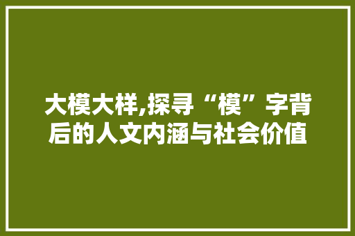 大模大样,探寻“模”字背后的人文内涵与社会价值