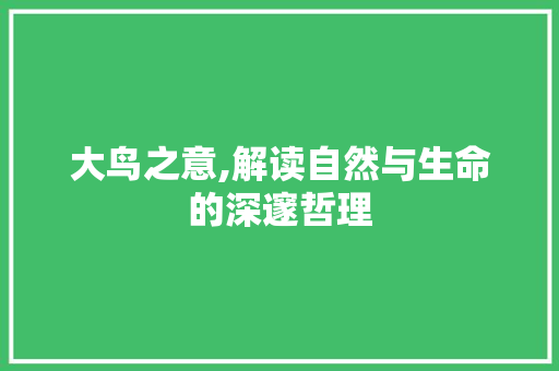 大鸟之意,解读自然与生命的深邃哲理
