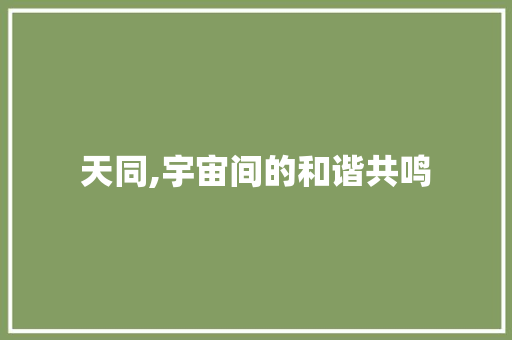 天同,宇宙间的和谐共鸣
