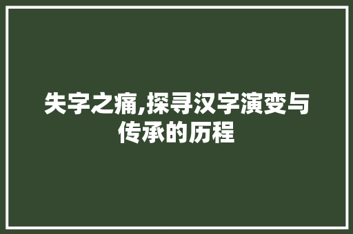 失字之痛,探寻汉字演变与传承的历程