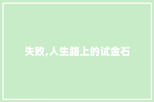失败,人生路上的试金石