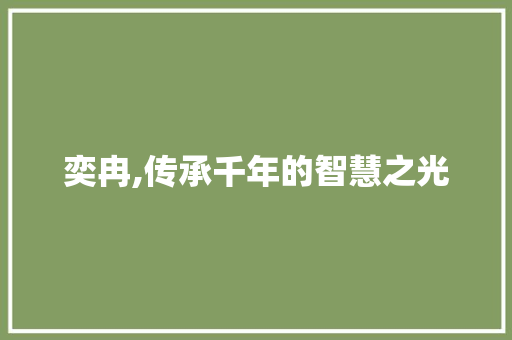 奕冉,传承千年的智慧之光