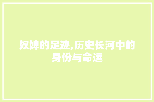 奴婢的足迹,历史长河中的身份与命运