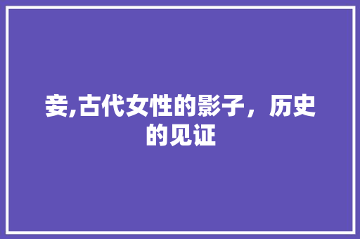 妾,古代女性的影子，历史的见证