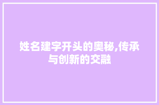 姓名建字开头的奥秘,传承与创新的交融 会议纪要