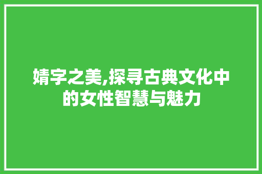 婧字之美,探寻古典文化中的女性智慧与魅力