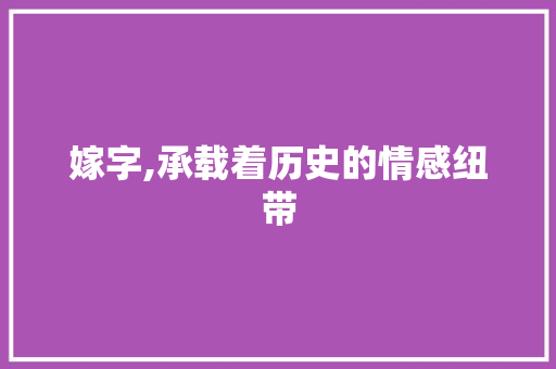 嫁字,承载着历史的情感纽带 诗词应用