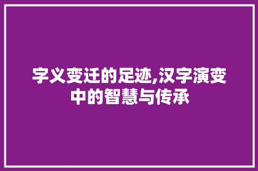 字义变迁的足迹,汉字演变中的智慧与传承 社交媒体