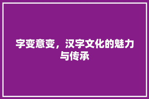 字变意变，汉字文化的魅力与传承