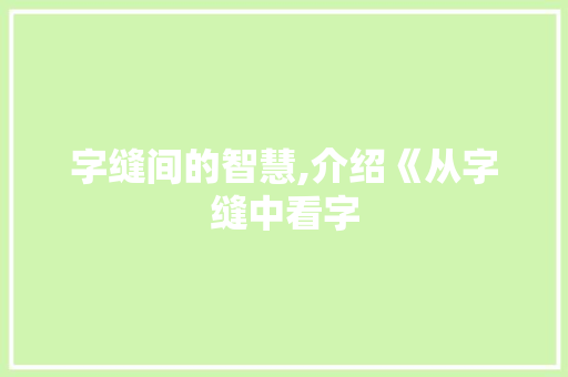字缝间的智慧,介绍《从字缝中看字 工作总结