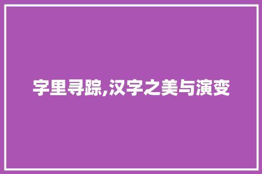 字里寻踪,汉字之美与演变