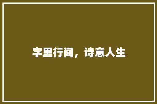 字里行间，诗意人生 诗词鉴赏