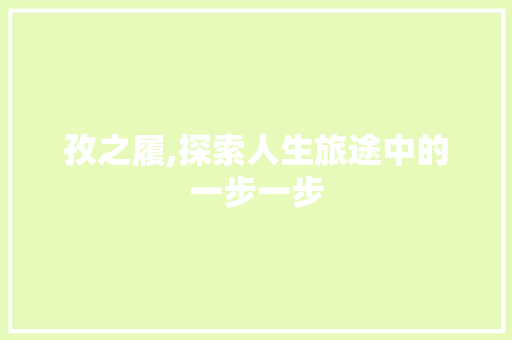 孜之履,探索人生旅途中的一步一步