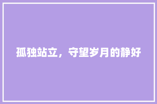 孤独站立，守望岁月的静好
