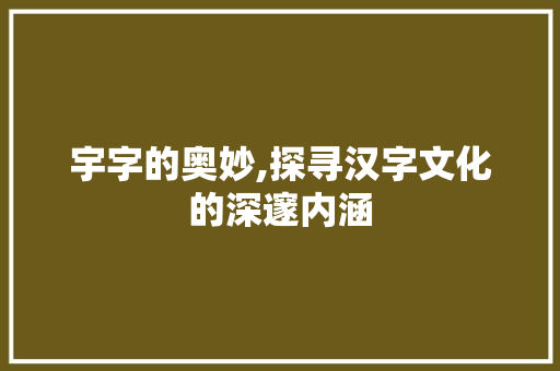 宇字的奥妙,探寻汉字文化的深邃内涵