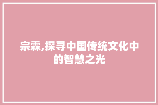 宗霖,探寻中国传统文化中的智慧之光