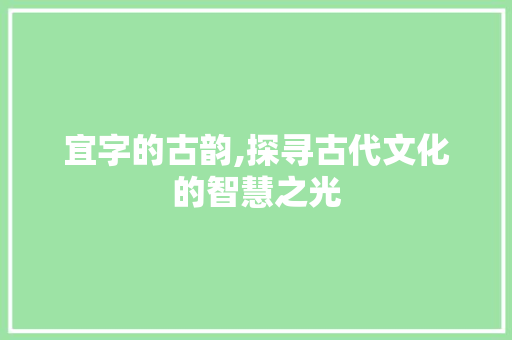 宜字的古韵,探寻古代文化的智慧之光