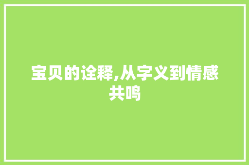 宝贝的诠释,从字义到情感共鸣