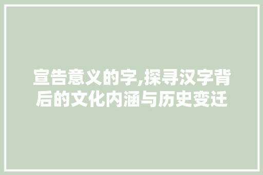 宣告意义的字,探寻汉字背后的文化内涵与历史变迁