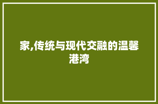 家,传统与现代交融的温馨港湾