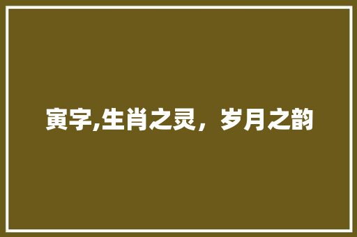 寅字,生肖之灵，岁月之韵