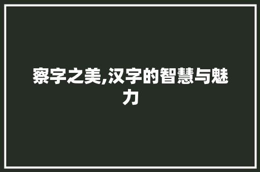 察字之美,汉字的智慧与魅力