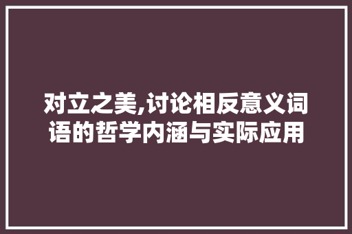 对立之美,讨论相反意义词语的哲学内涵与实际应用