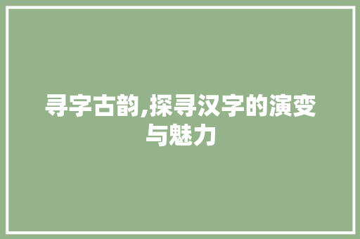 寻字古韵,探寻汉字的演变与魅力