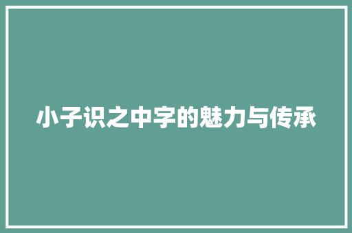小子识之中字的魅力与传承