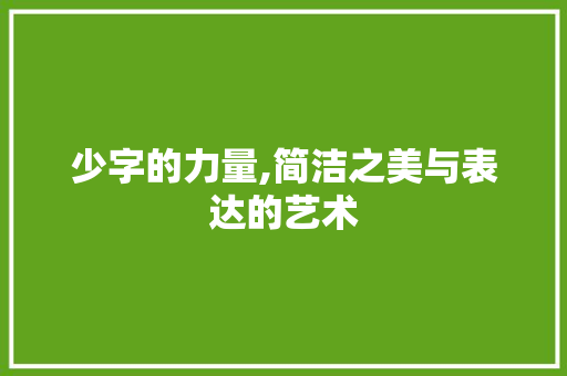 少字的力量,简洁之美与表达的艺术