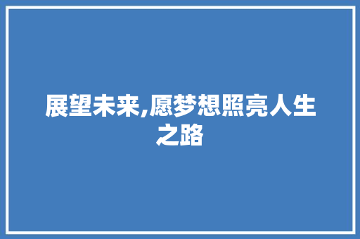 展望未来,愿梦想照亮人生之路