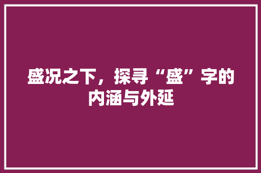 盛况之下，探寻“盛”字的内涵与外延