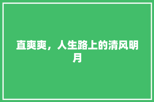 直爽爽，人生路上的清风明月